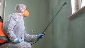 Best Industrial Mold Remediation in Laguna Hills, CA