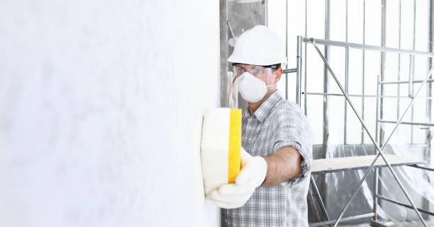 Why You Should Choose Our Mold Remediation Services in Laguna Hills, CA